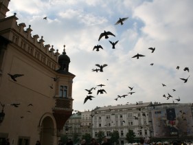 IMG_2037